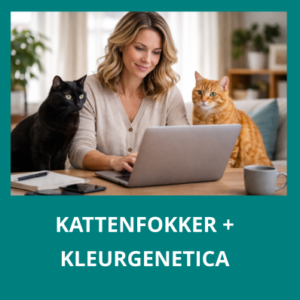 Cursus kattenfokker + kleurgenetica bij katten